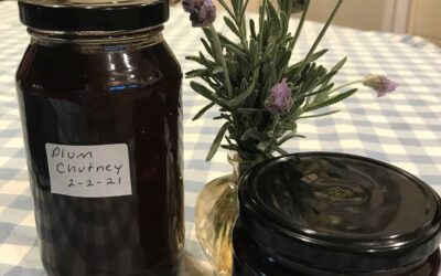 My musings 8th February 2021